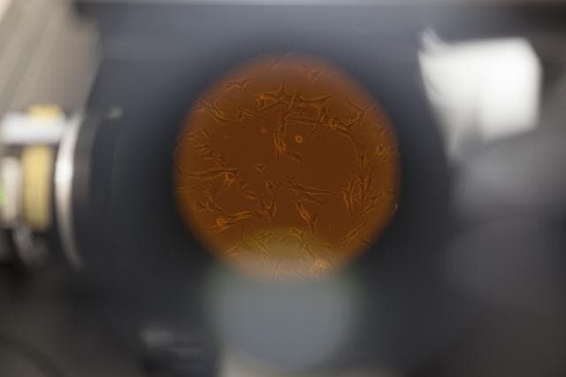 NASA image: KSC-2014-3704