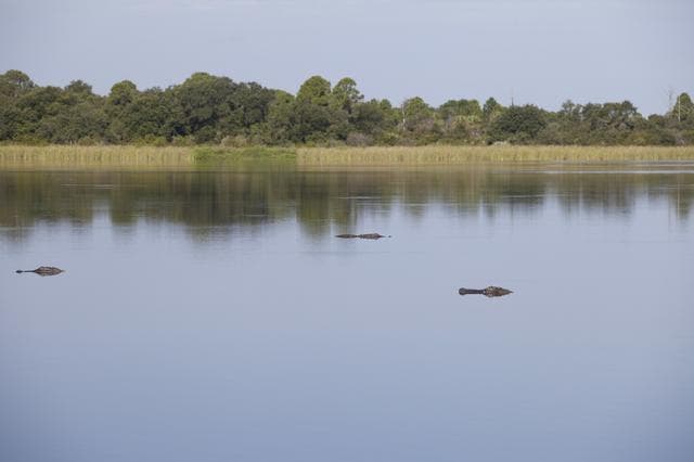 NASA image: KSC-2014-4338