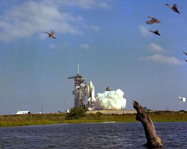 NASA image: KSC-81pc0899