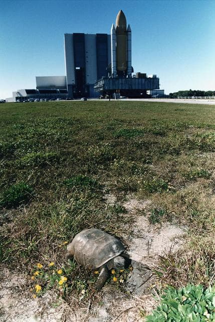 NASA image: KSC-96pc1344