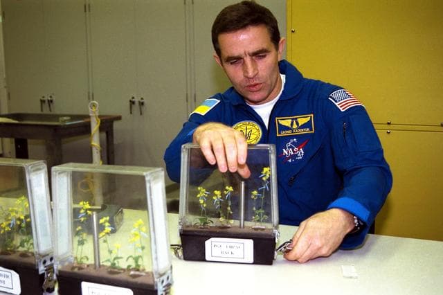 NASA image: KSC-97PC1516