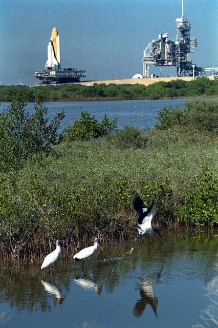 NASA image: KSC-97PC1823