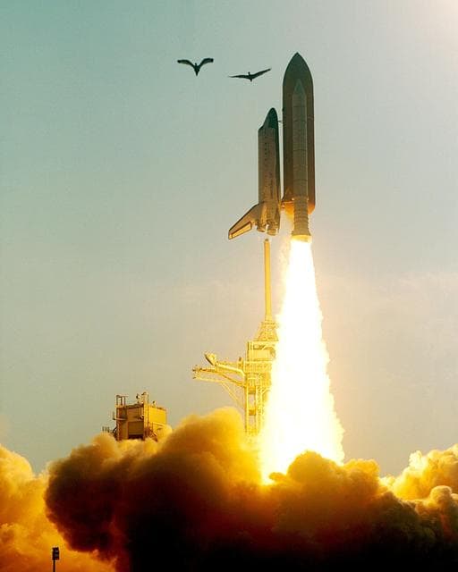 NASA image: KSC-98pc732