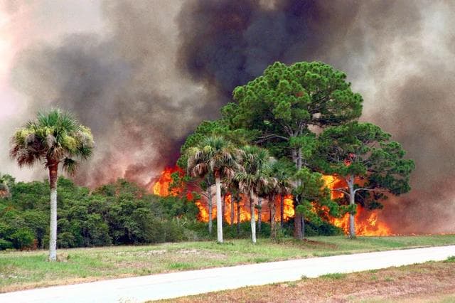 NASA image: KSC-98pc768