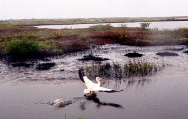 NASA image: KSC-99pp1456