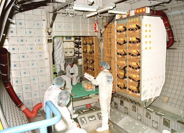 NASA image: KSC-99pp1499