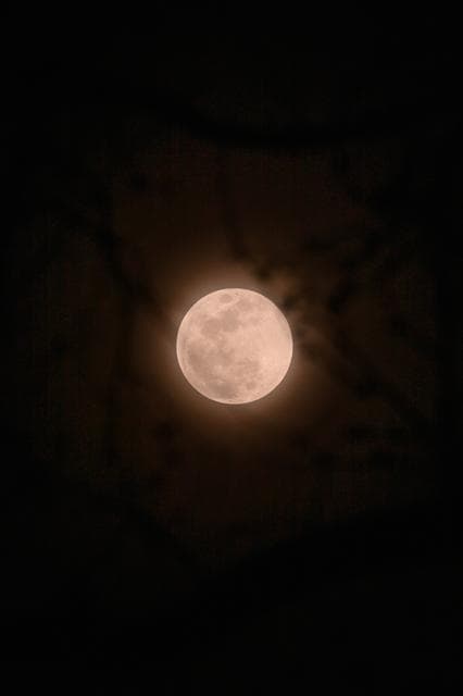Worm Moon March 2025