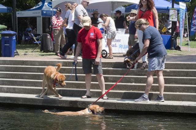 NASA image: NASA in the Park, 2018