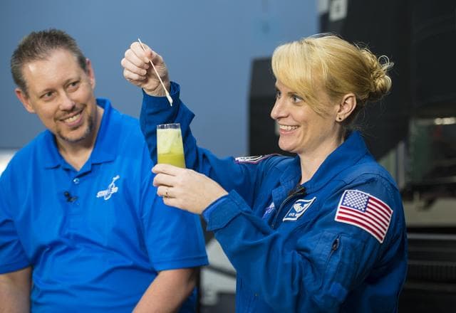 NASA image: Astronaut Kate Rubins at Air and Space Museum