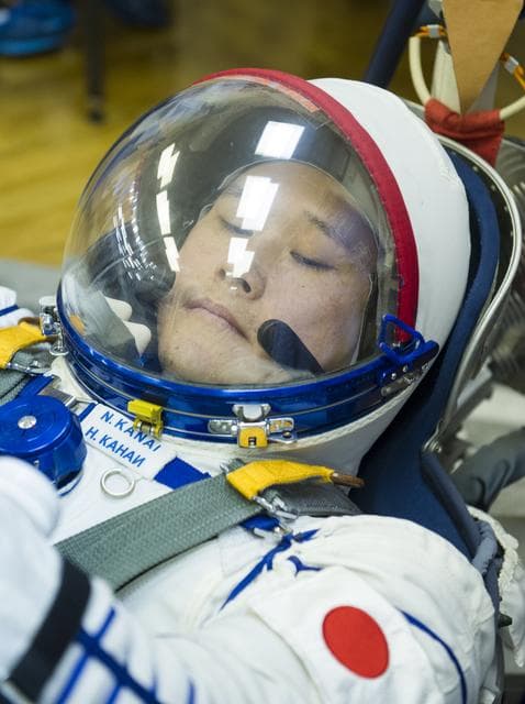 NASA image: Expedition 54 Preflight