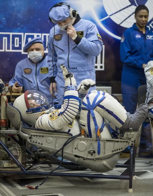 NASA image: Expedition 54 Preflight