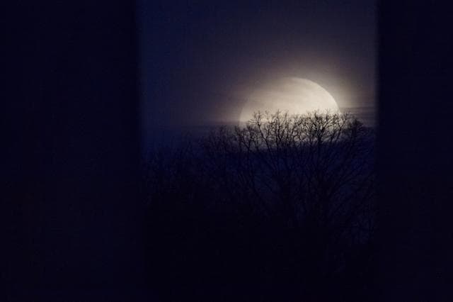NASA image: Super Blue Blood Moon