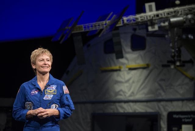 NASA image: Astronaut Peggy Whitson at NASM