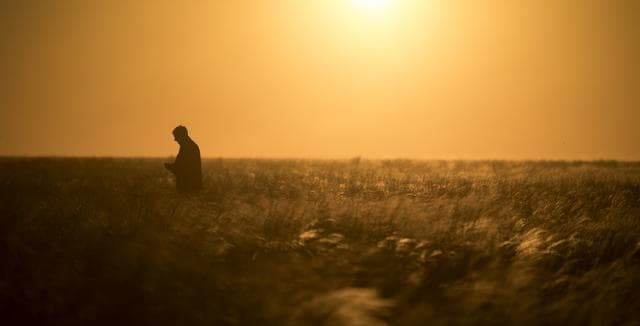 Expedition 55 Soyuz MS-07 Landing