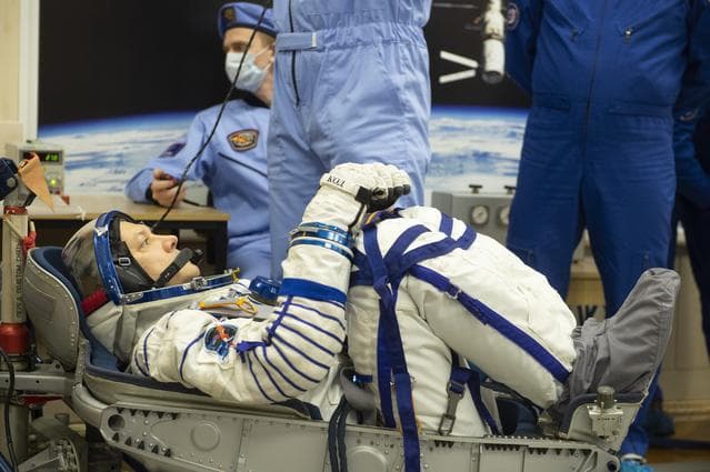 NASA image: Expedition 58 Pressure Checks