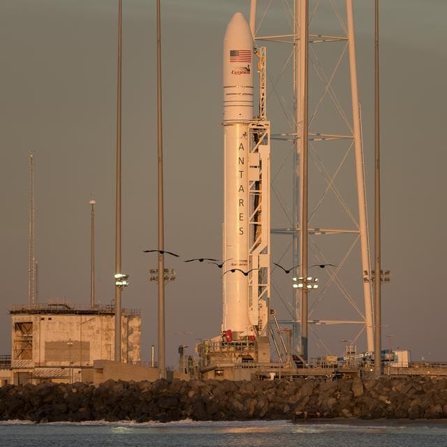 NASA image: Northrop Grumman Antares CRS-11 Prelaunch