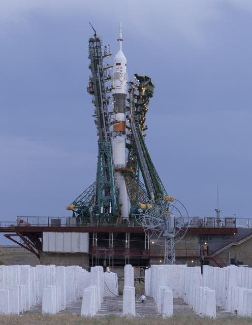NASA image: Expedition 60 Preflight