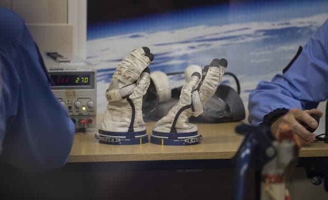 NASA image: Expedition 60 Preflight