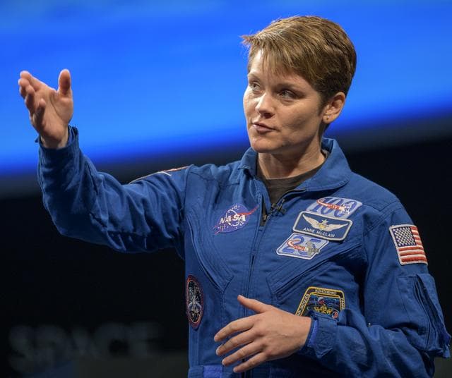 NASA image: Astronauts McClain and Hague at NASM