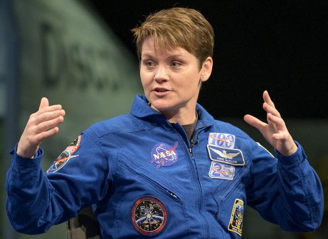 NASA image: Astronauts McClain and Hague at NASM