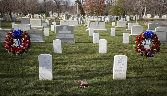 NASA image: Day of Remembrance 