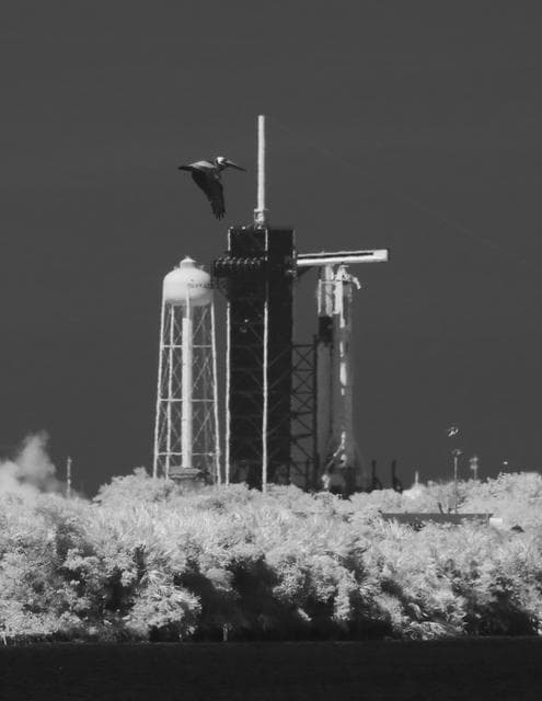 NASA image: SpaceX Demo-2 Static Fire