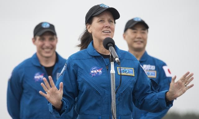 NASA image: SpaceX Crew-1 Crew Arrival