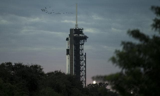 NASA image: SpaceX Crew-1 Preflight
