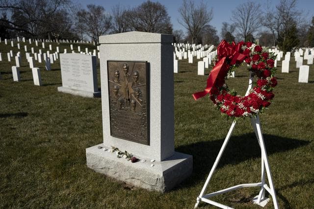 NASA image: Day of Remembrance