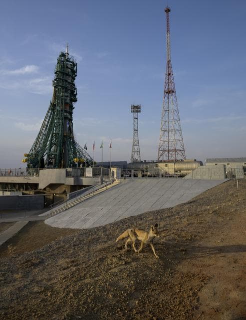 NASA image: Expedition 65 Soyuz Preflight