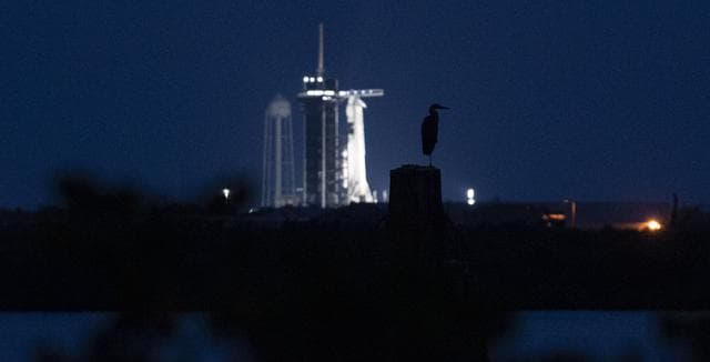 NASA image: SpaceX Crew-2 Static Fire