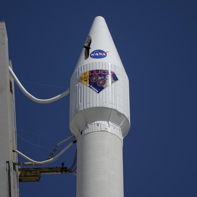 NASA image: Lucy Mission Prelaunch