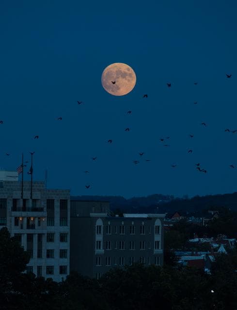 NASA image: Moonrise Over Washington