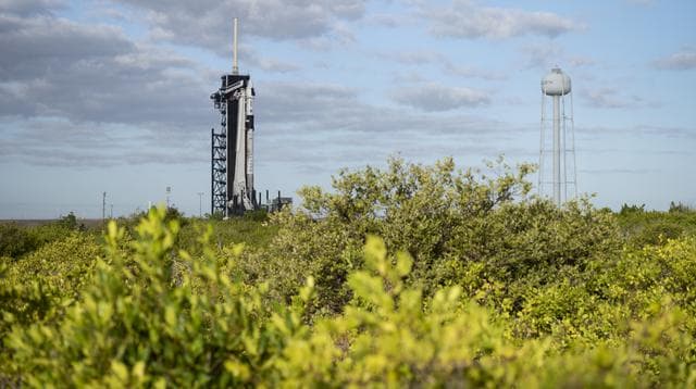NASA image: SpaceX Crew-3 Preflight