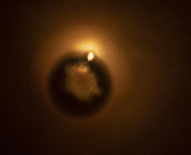 NASA image: DART Launch