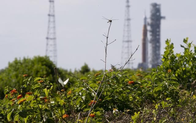 NASA image: Artemis I Wet Dress Rehearsal