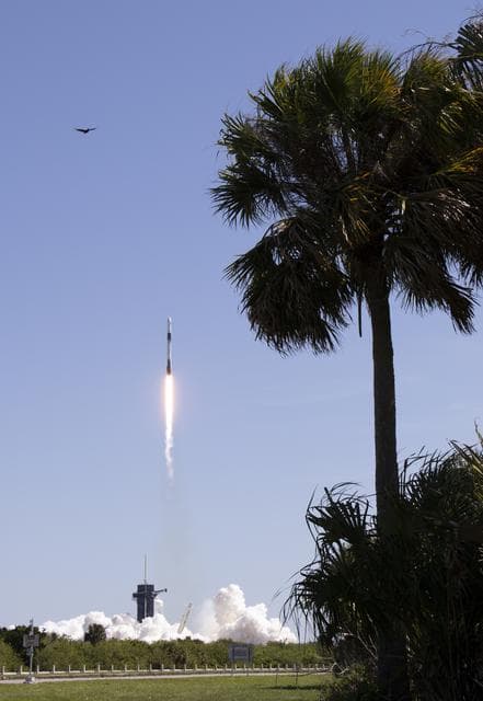 NASA image: Axiom Mission 1 Launch