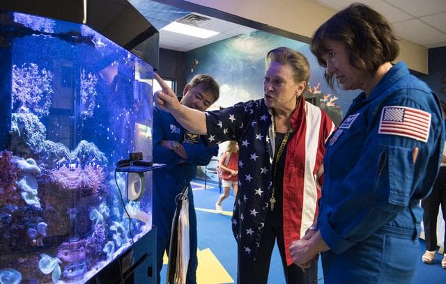 NASA Admin, SpaceX Crew-2, and U.S. Rep. Don Beyer Meet Students