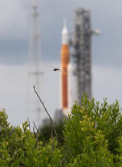 NASA image: Artemis I Prelaunch