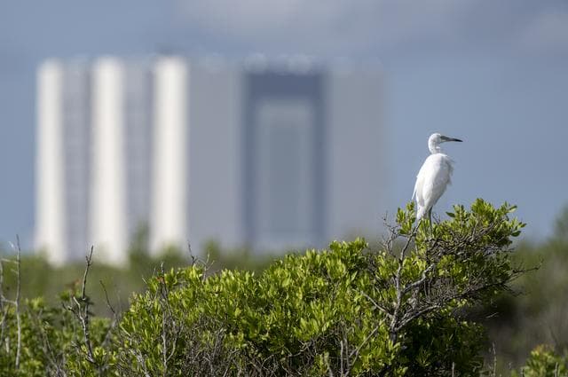 NASA image: Artemis I Prelaunch