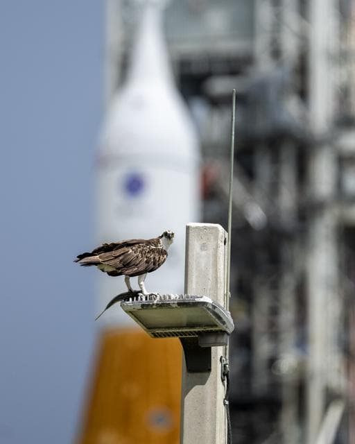 NASA image: Artemis I Prelaunch
