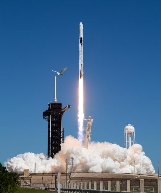 NASA image: NASA’s SpaceX Crew-5 Launch