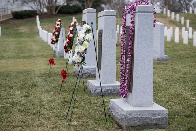 NASA image: Day of Remembrance