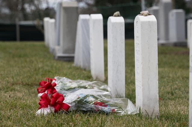 NASA image: Day of Remembrance
