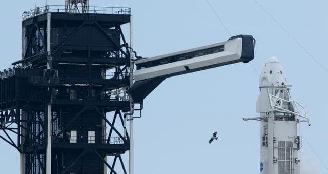 NASA image: NASA’s SpaceX Crew-11 Launch Attempt