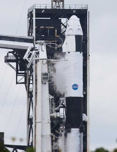 NASA image: NASA’s SpaceX Crew-11 Launch