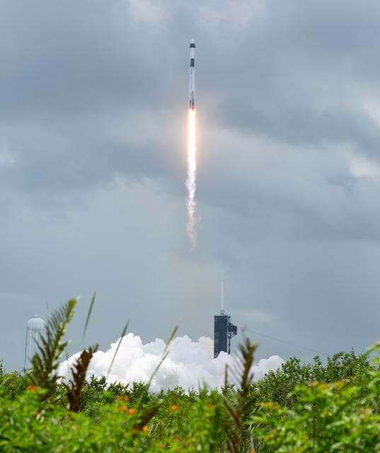 NASA image: NASA’s SpaceX Crew-11 Launch