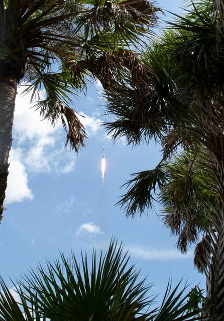 NASA image: NASA’s SpaceX Crew-11 Launch