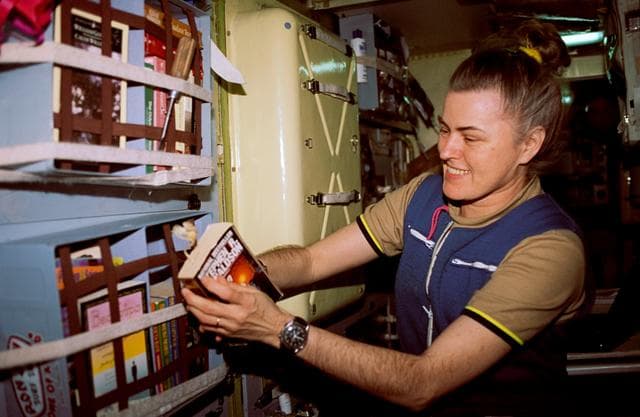 NASA image: Candid view of Astronaut Lucid in the Spektr module