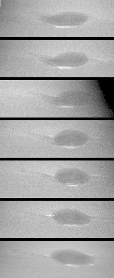 NASA image: Neptune - Changes in Great Dark Spot